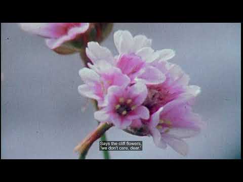 Na Blátha Craige - Liam Ó Flaithearta