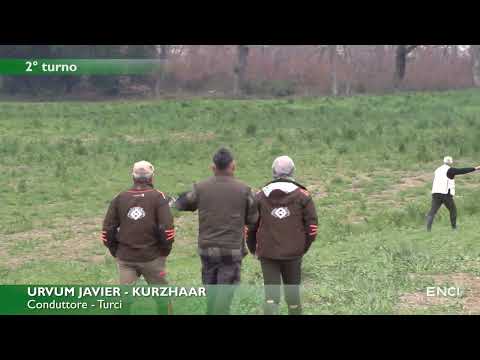 BAGNOREGIO 2025 - DERBY CONTINENTALI 2025 - BATTERIA 1 CONTINENTALI ESTERI 8 MARZO 2025