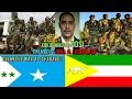 XUKUUMADDA DDSI GALMUDUG WAA AL SHABAAB WEREYSI HOGGAANKA NABADGALYADA YAASIIN CABDI WARIS