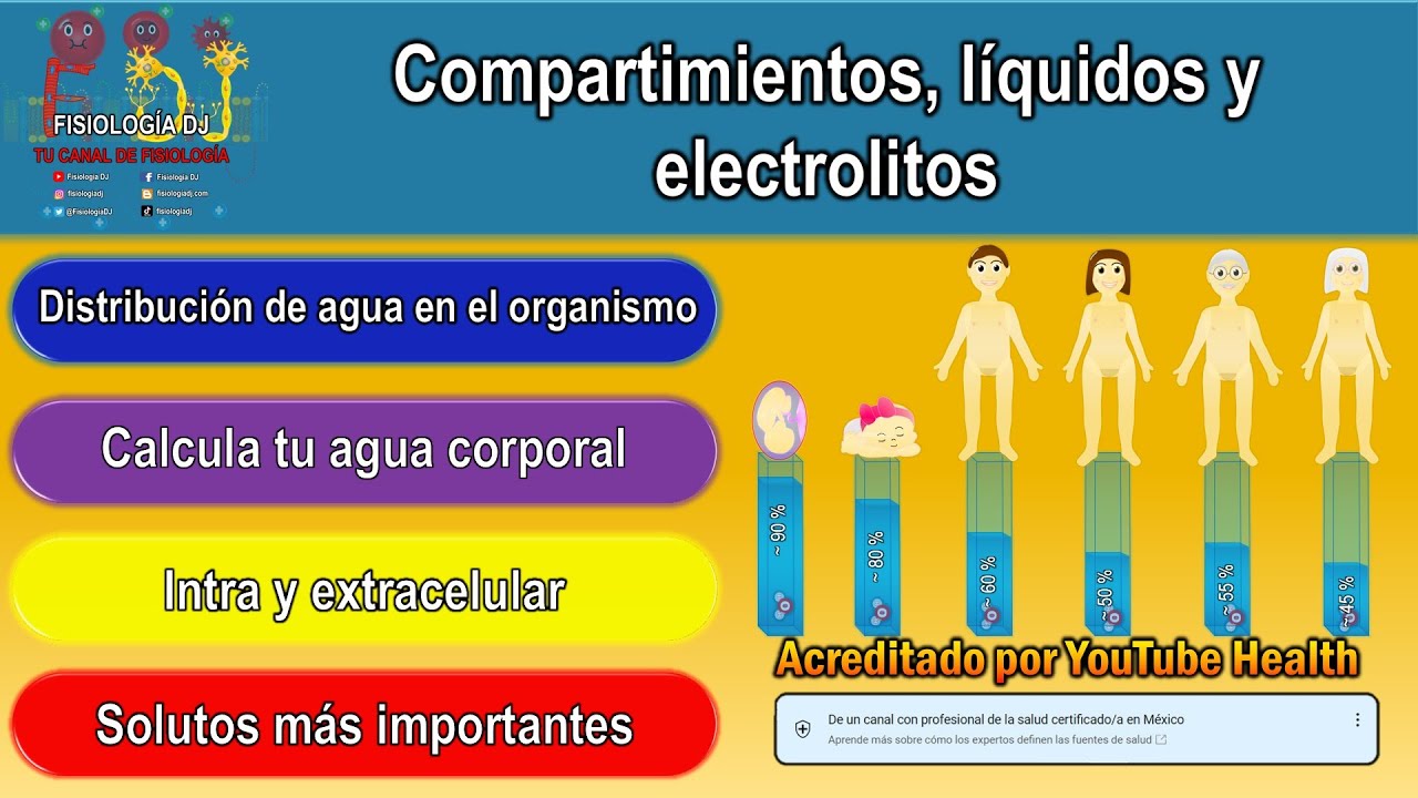 Líquidos y electrolitos fisiología | Líquidos y compartimentos corporales