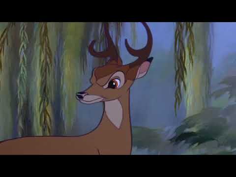 The little Viv part 2 - bambi’s concert/(“daughters of Cornelius fudge”)