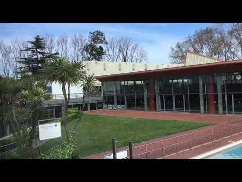 En el Grupo De Cultura Covadonga