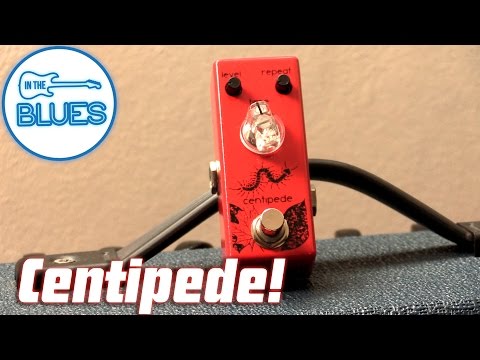 Movall Centipede Analog Delay Pedal