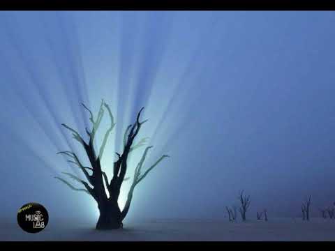 Agoria feat NOEMIE - Remedy (Manoo Remix)