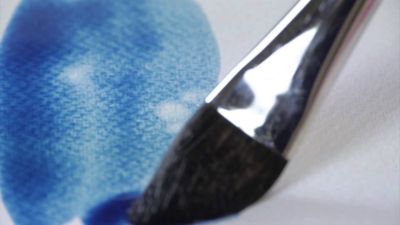 RAPHAEL LAVIS LANGUE DE CHAT 903 FR