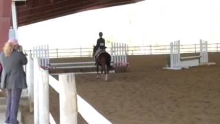 preview picture of video 'Leg Up Stables presents Little Bit Country over 2'3'