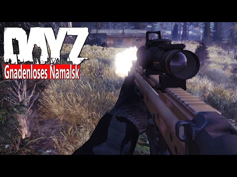 DAYZ - ZURÜCK im ASOZIALEN NAMALSK - ÜBERLEBEN in EISES KÄLTE - RAUES NAMALSK - DAYZ STANDALONE