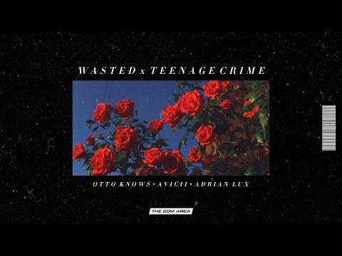 Otto Knows & Avicii vs. Adrian Lux - Wasted x Teenage Crime (Seb Mashup)