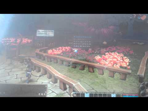 Flyff gampley part 1