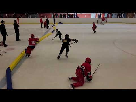 Huddinge Hockey Team 12 - Älta