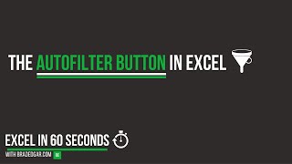 The AutoFilter Button in Excel