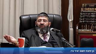 הרב אייל עמרמי - הלכות שבת - ד' כסלו תשפ"ה (הרב אייל עמרמי) - התמונה מוצגת ישירות מתוך אתר האינטרנט יוטיוב. זכויות היוצרים בתמונה שייכות ליוצרה. קישור קרדיט למקור התוכן נמצא בתוך דף הסרטון