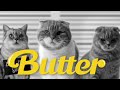 유튜브 다운로드 BTS( 방탄소년단) 'Butter' MV 고양이 뮤직비디오 커버