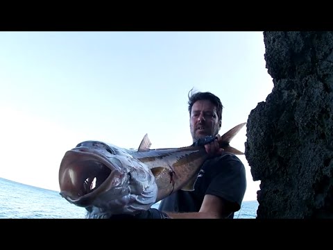 shore jigging the revans