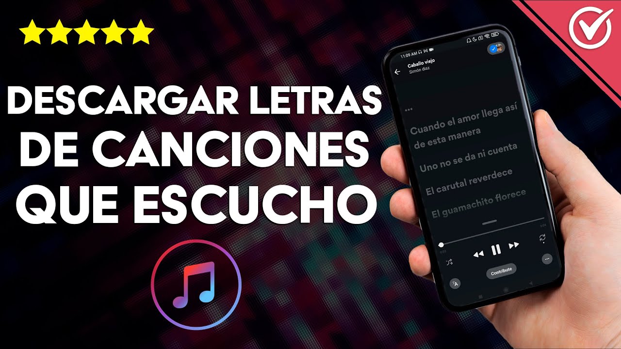 How to download lyrics to songs I listen to online and like