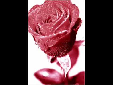 download lagu mp3 mp4 El Warda Li Na7ki 3liha, download lagu El Warda Li Na7ki 3liha gratis, unduh video klip El Warda Li Na7ki 3liha