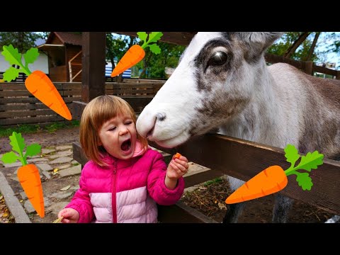 Бьянка и Маша Капуки на городской ферме в Москве - Привет, Бьянка