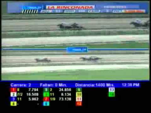 2DA CARRERA DOMINGO 29 ABRIL LA RINCONADA AUDIOHIPISMO