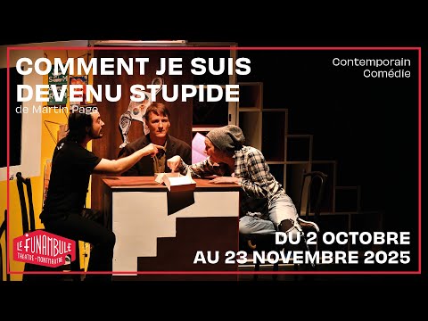 Comment je suis devenu stupide