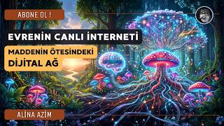 EVRENİN CANLI İNTERNETİ/ MADDENİN ÖTESİNDEKİ DİJİTAL AĞ