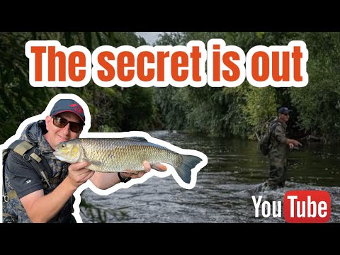 The Secret is out for BIG RIVER CHUB ￼