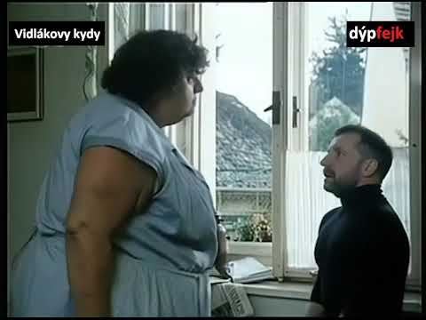 Slunce, seno, Ukrajina | Zhodnocení jednání Zelenského s Donaldem Trumpem