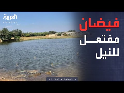 فيديو | ترمب يُمهل حماس.. ومصر تتهم إثيوبيا بتهديد أمنها واستقرارها