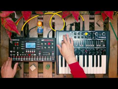 Crookers - Knobbers cover on Elektron Octatrack & Arturia Minibrute
