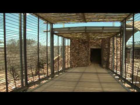 Peter Rich Architects.mp4