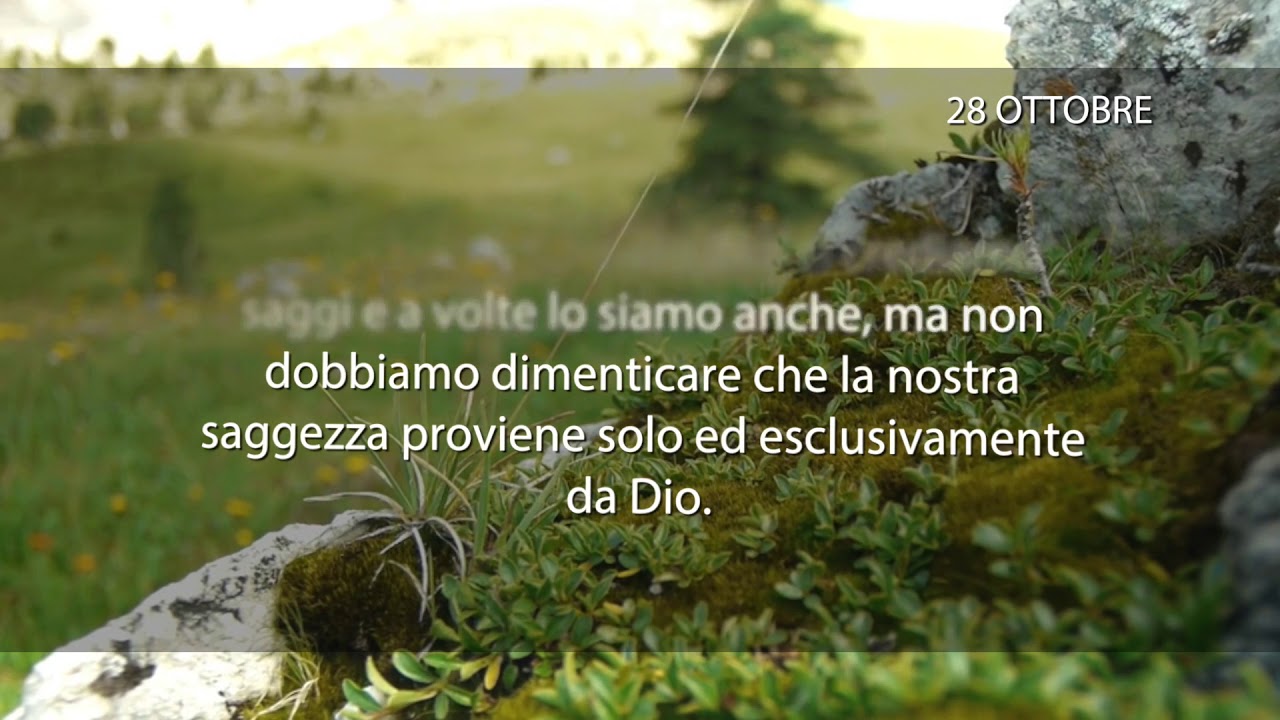 Meditazione del 28 Ottobre 2018 “SAGGEZZA”