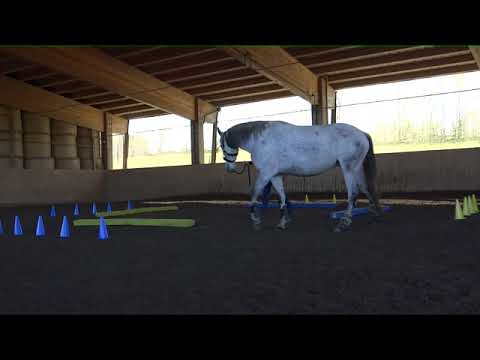 18 11 20 Equikinetik zweites Mal