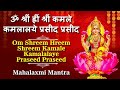 Om Shreem Hreem Shreem Kamle Kamalalaye Praseed Praseed Mahalaxmi Mantra Laxmi Mantra Jaap