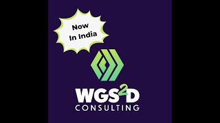 WGS2D Consulting - Video - 1