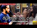 Pitu Pala Yana Daka Mage Watinakam මාගේ නොවන මතුදාක Udaya Nadeeshan Musi