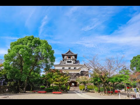 動画サムネイル