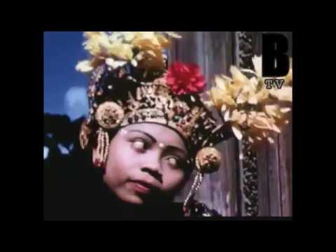 BJARNE B - SURVIVAL TAPE (Den Livsviktiga kassetten)