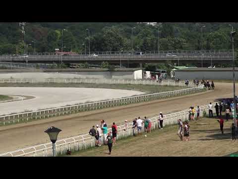 3 7 2022   III Trka   VLADA ILIĆ   Hipodrom Beograd