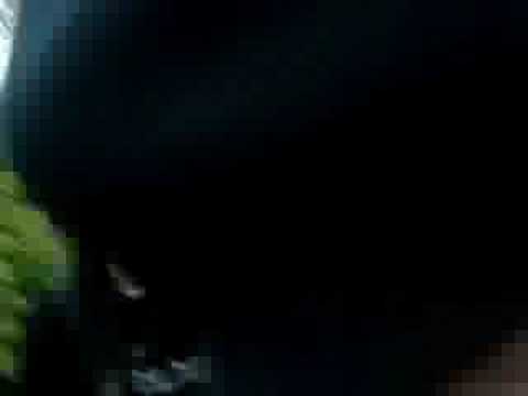 Mach die schei Kamera aus