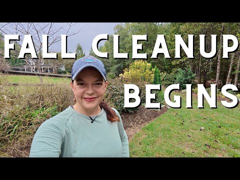 Preparing for Tomorrow | Fall Cleanup with Next Season in Mind