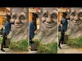Amazing Smile Tree Status Save Tree Tree Plantation Whatsapp Status Amazing Tree Lover Status