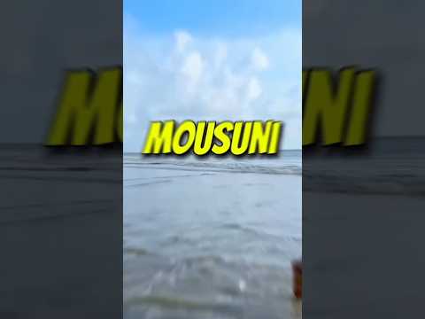 holiday enjoy #music #viralshort