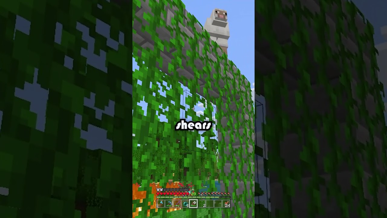 🪜 Minecraft Vine Farming 🌿