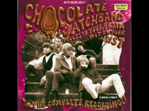 Chocolate Watch Band - Let's Go, Let's Go, Let's Go