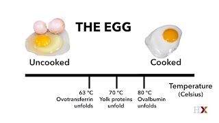 Phase transitions in cooking