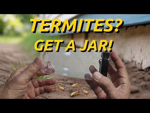 Unbelievable Plastic Jar Trick for Termites!  Simple to do!
