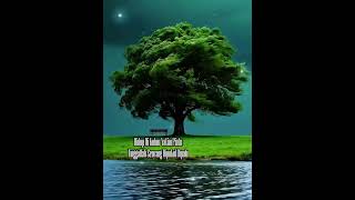 Download lagu SAUJANA ~ SEPOHON KAYU mp3