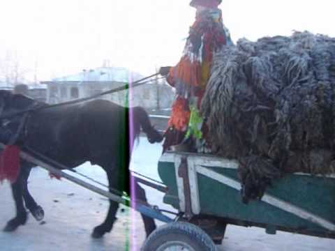 SATRA DE TIGANI CD.STSNCI COM.UNGHENI PARTEA I.wmv