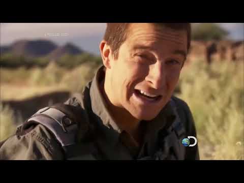 Aprova de tudo - Deserto do Arizona