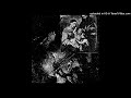 Vidna Obmana — Heart Gone for Life
