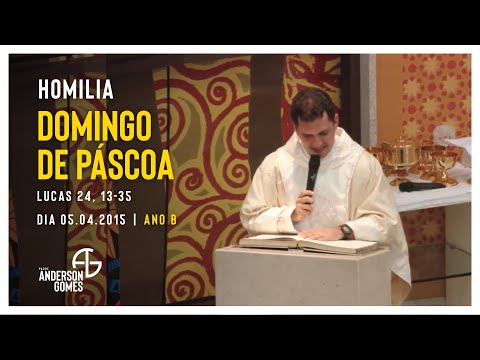 HOMILIA da Missa da Ressurreição do Senhor (Lc 24, 13-35/Ano B)  - 05/04/2015